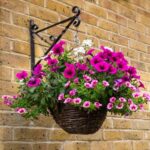 Hanging basket